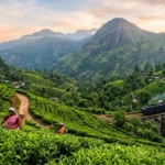 Top 20 Things to Know Before Travelling to Sri Lanka