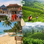 How To Plan A Trip To Sri Lanka From Portugal