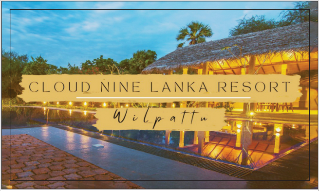 Cloud Nine Lanka Resort Wilpattu - Sustainable Tourism Awards