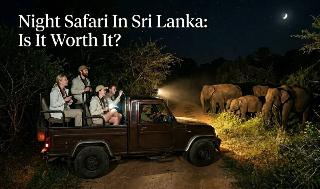 Night Safari In Sri Lanka Is It Worth It