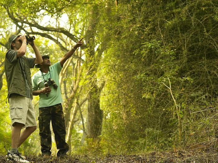 Best Activities to Enjoy at a Nature Resort in Sri Lanka Bird Watching